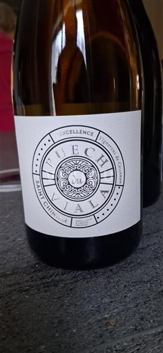 Languedoc Saint-Chinian Puech Haut Tête de Excellence Ikke årgangsbestemt