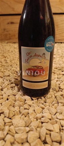Wines Rouge sec Un Tour en Anjou Domaine Bodineau 2020 France Loire Valley Anjou AOC