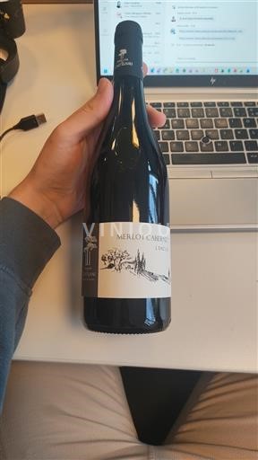 Languedoc a Roussillon Pays d'Oc Domaine Castelnau 2023