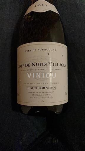 Burgundija Côte de Nuits Villages Didier Fornerol 2011