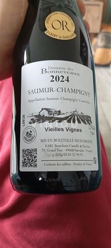 Loiren laakso Saumur-champigny Domaine S Bonneveaux Vieilles Vignes 2024