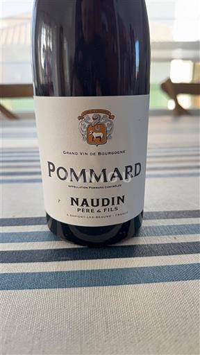 Burgundi Pommard Naudin Père et Fils 2022