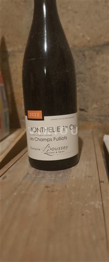 Burgundija Monthélie Premier Cru Domaine Boussey Les Champs Fulliots 2022