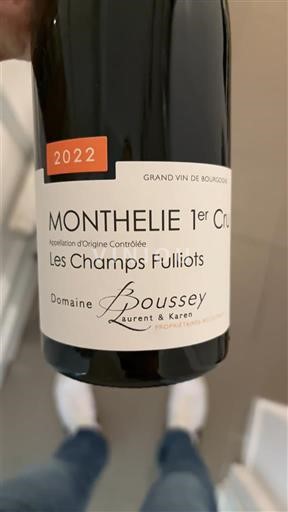 Burgundsko Monthélie Premier Cru Domaine Boussey Les Champs Fulliots 2022