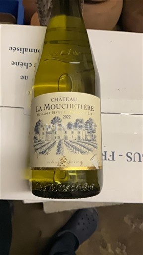 Loire-dalen Muscadet-Sèvre-et-Maine Château La Mouchètière 2022