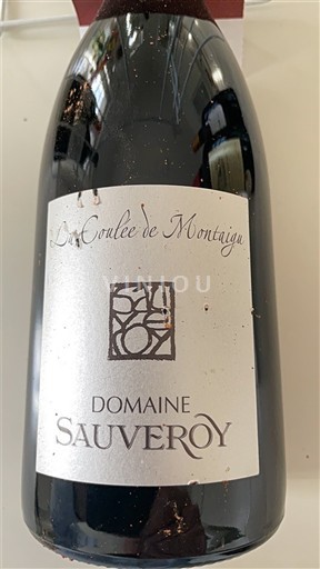 Vin Rouge sec La Coulée de Montigaud Domaine Sauveroy 2020 France Vallée de la Loire Anjou AOC