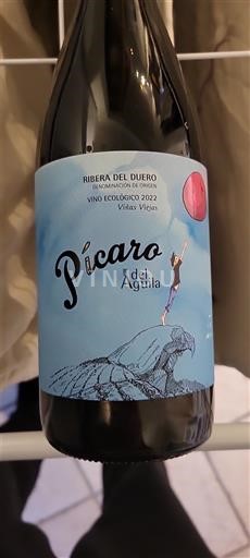 Castilla y León Ribera del Duero Dominio del Águila Pícaro del Águila 2022