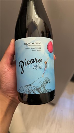 Kastilia ja León Ribera del Duero Dominio del Águila Pícaro del Águila 2022