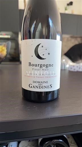 Borgogna Domaine S Gandines 2023