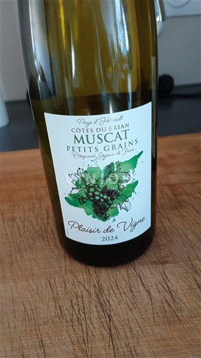 Languedoc og Roussillon Côtes du Brian Plaisir de Vigne 2024