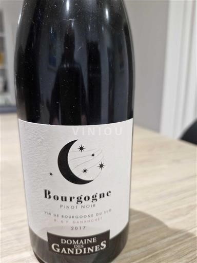 Borgogna Domaine S Gandines 2017