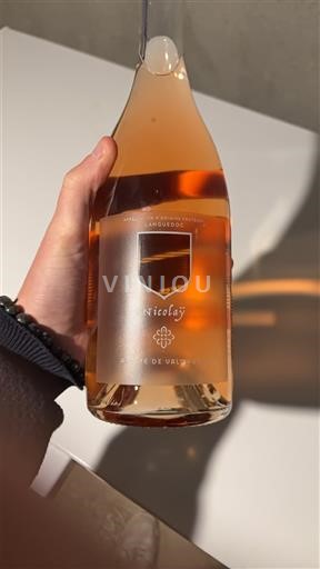 Vine Rosé sec Nicolay Abbaye de Valmagne 2024 Frankrig Languedoc AOC