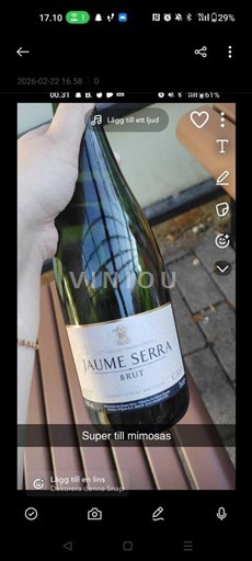 Katalonja Kava Jaume Serra Jo Viti