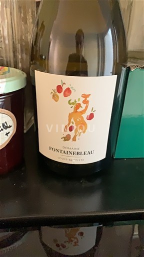 Provence Coteaux Varois en Provence Domaine Fontainebleau Louis-Baptiste 2023