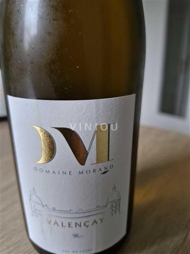 Dolina Loare Valençay Domaine Morand Neleten.