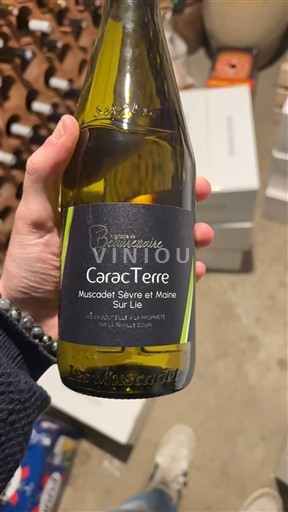 Loire-dalen Muscadet-Sèvre-et-Maine Domaine BEAUREPAIRE CaracTerre Ikke årgangsbestemt