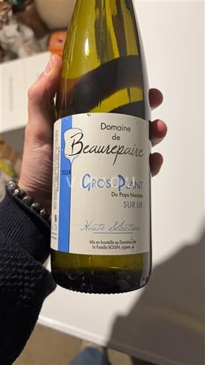 Loirevallei Gros-plant-du-pays-nantais Domaine Beau-repaire Haute sélection 2024