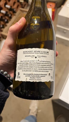 Dolina Loare Muscadet-sèvre-et-maine Domaine Beau-repaire Baptiste 2020