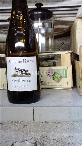 Wijnen Blanc sec Résilience Domaine Ratron 2023 Frankrijk Loirevallei Saumur AOC