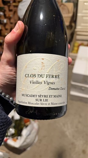 Loire-dalen Muscadet-Sèvre-et-Maine Domaine David Clos du Ferré Vieilles Vignes 2020