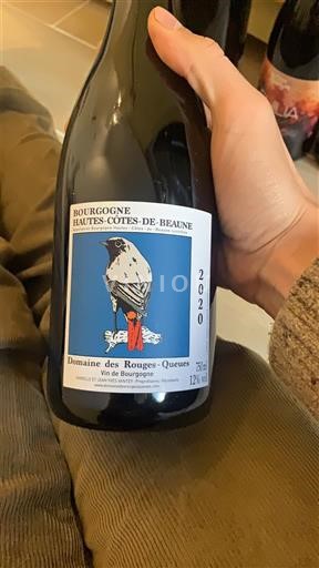 Bourgogne Hautes Côtes de beaune Domaine S Rouges-Queues 2020