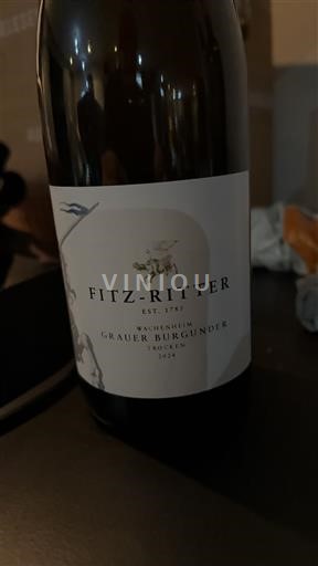 Pfalz Fitz-Ritter Wachenheim grauerburgunder 2024