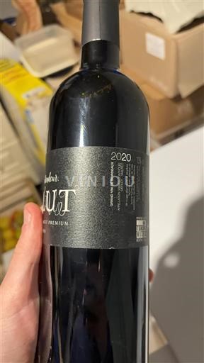 Bordeaux Graves Caumont Salut 2020