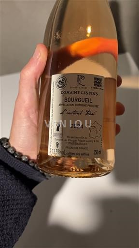 Valle del Loira Bourgueil Domaine Les Pins L'instant Rosé 2024