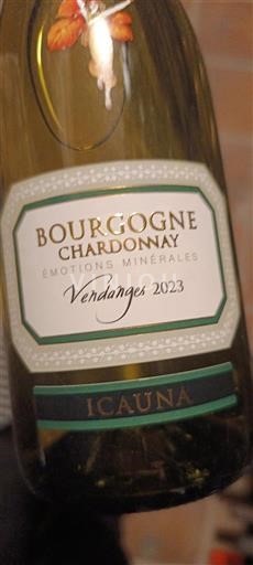 Bourgogne Bourgogne Chardonnay Icauna Émotions Minérales 2023