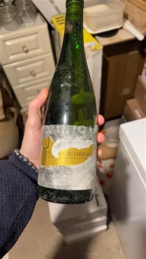 Loirevallei Coteaux du Layon Domaine Des Barres 2009