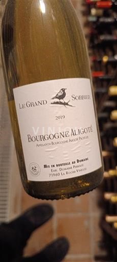 Borgogna Borgogna Aligoté Domaine Prunier Le Grand Sorbier 2019