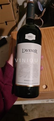 Rannikkoalue Stellenbosch L'Avenir 2022