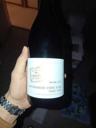 Bourgogne Bourgogne Côte d'Or Terres de Velle 2022