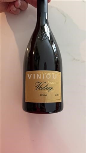 Trentino-Alto Adige Alto Adige Valle Isarco Terlan Vorberg 2022