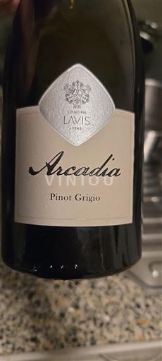 Wines Blanc sec Arcadia Cantina Lavis 2021 Italy Emilia-Romagna Wines Reggiano DOC