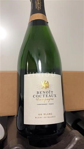 Champaña Champán Benoît Cocteaux Un Blanc Blanc de Blancs Sin añada