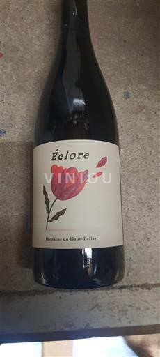 Loire-dalen Saumur Domaine Haut-Bellay Éclore 2021