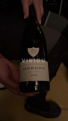 Beaujolais Morgon Julien Sunier Côte du Py 2018