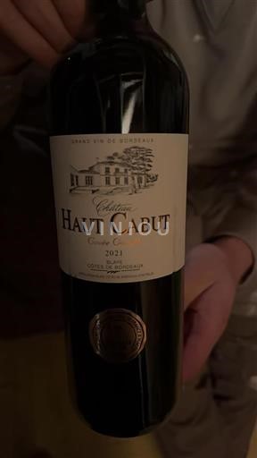 Bordeaux Côtes-de-bourg Château Haut Cabut Clémence 2021