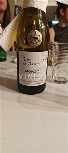 Vinuri Rouge sec Terre de Roches Vieilles Vignes Arnaud Aucoeur Non millésimé Franța Beaujolais Morgon AOC