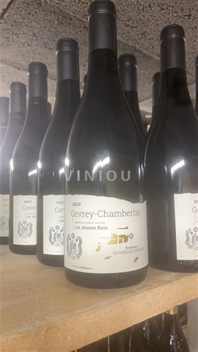 Burgundi Gevrey-Chambertin Domaine Le Domaine Le Guellec Ducouet Les Jeunes Rois 2023