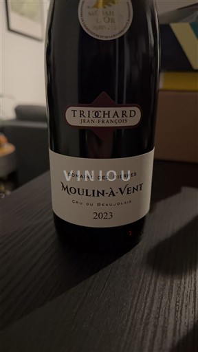 Beaujolais Moulin-à-vent Trichard Jean-François Domaine des Pierres 2023
