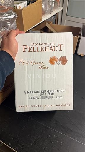 Sydväst Côtes de Gascogne Domaine Pellehaut L'Été Gascon Blanc 2018