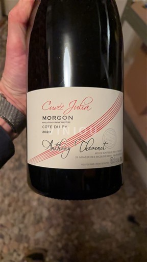 Beaujolais Morgon Anthony Thevenet Julia 2020
