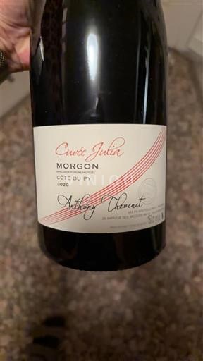 Beaujolais Morgon Anthony Thevenet Julia 2020