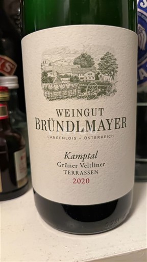 Nederøstrig Kamptal DAC Weingut Bründlmayer Grüner Veltliner Terrassen 2020