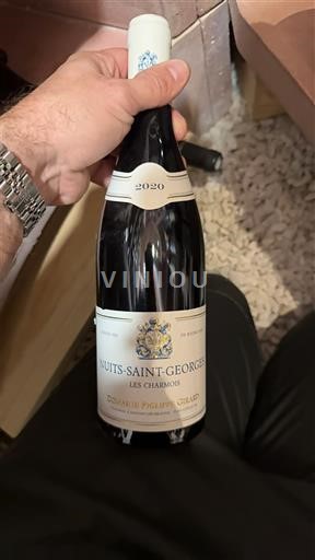 Burgundi Nuits-saint-georges Domaine Philippe Gavignet Les Charbonnières 2020