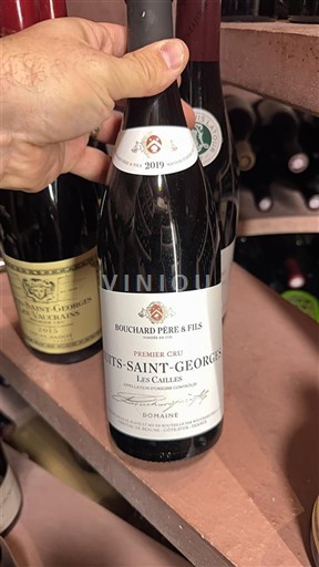 Burgundija Nuits-Saint-Georges Premier Cru Bouchard Père & Fils Les Cailles 2019