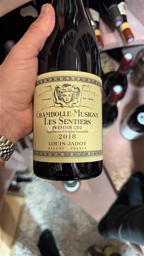 Bourgondië Chambolle-Musigny Premier Cru Louis Jadot Les Sentiers 2018