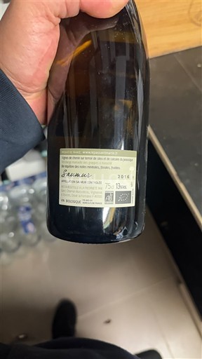 Loire Valley Saumur Domaine Pas Saint Martin 2016